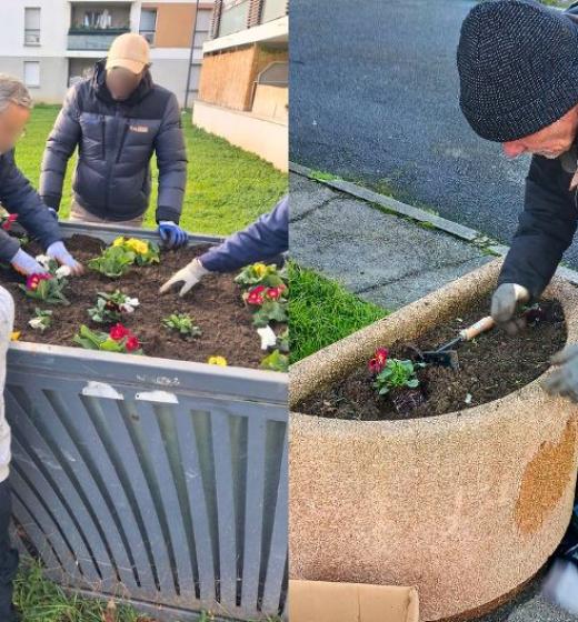 Animations jardinage Blagnac