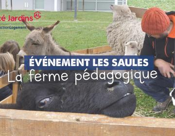 Ferme pédagogique