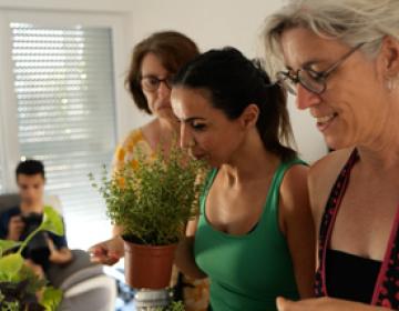 lien social bailleur social