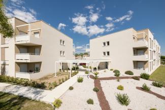 baschi de cayla - pignan